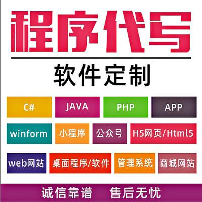 软件定制 程序开发 设计代做jsp系统网站php软件安卓软件开发定做_双